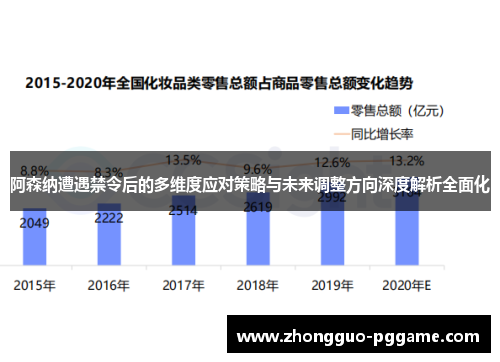 阿森纳遭遇禁令后的多维度应对策略与未来调整方向深度解析全面化 阿森纳遭遇禁令后的多维度应对策略与未来调整方向深度解析全面化