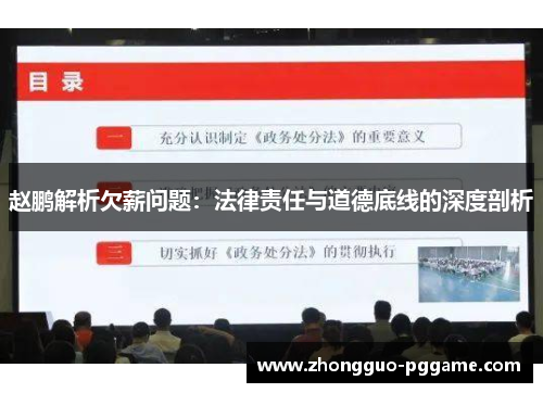 赵鹏解析欠薪问题:法律责任与道德底线的深度剖析 赵鹏解析欠薪问题:法律责任与道德底线的深度剖析