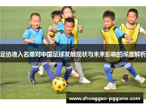 足协准入名单对中国足球发展现状与未来影响的深度解析 足协准入名单对中国足球发展现状与未来影响的深度解析